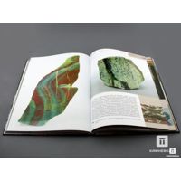 Фото Книга: Колисниченко С.В. «Яшмовый пояс Южного Урал